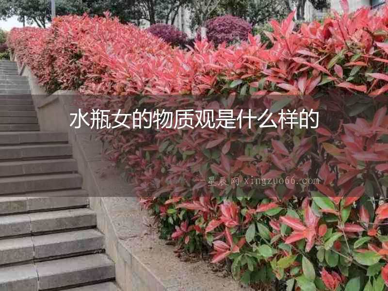 水瓶女的物質(zhì)觀是什么樣的