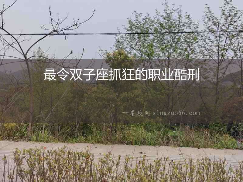 最令雙子座抓狂的職業(yè)酷刑