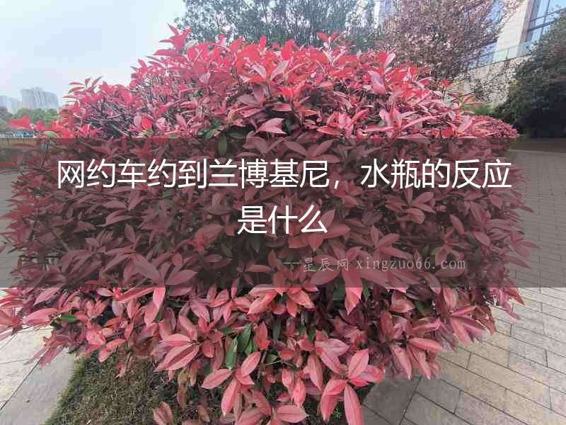 網約車約到蘭博基尼，水瓶的反應是什么