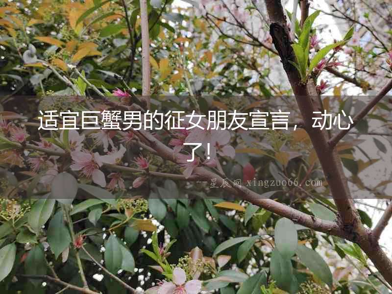 適宜巨蟹男的征女朋友宣言，動心了！