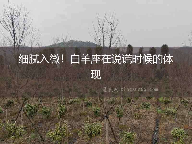 細膩入微！白羊座在說謊時候的體現(xiàn)