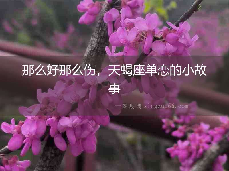 那么好那么傷，天蝎座單戀的小故事