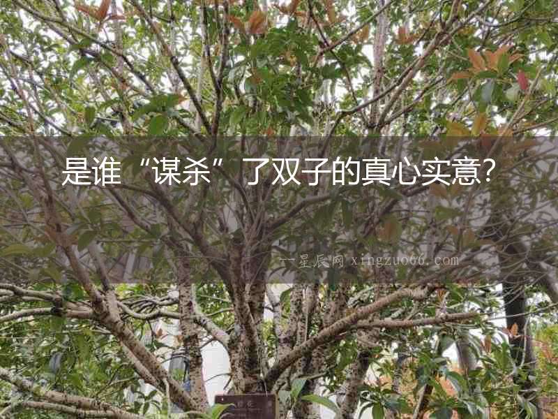 是誰“謀殺”了雙子的真心實(shí)意？