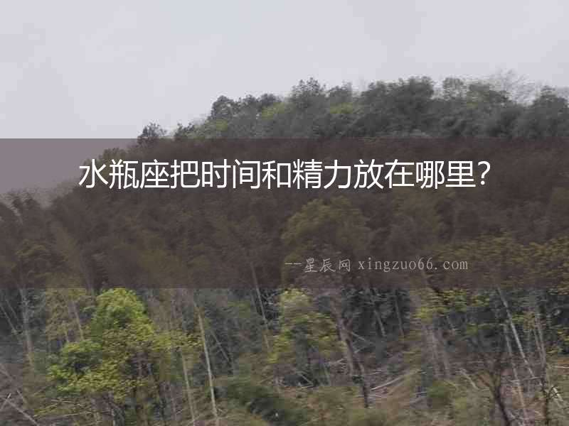 水瓶座把時間和精力放在哪里？