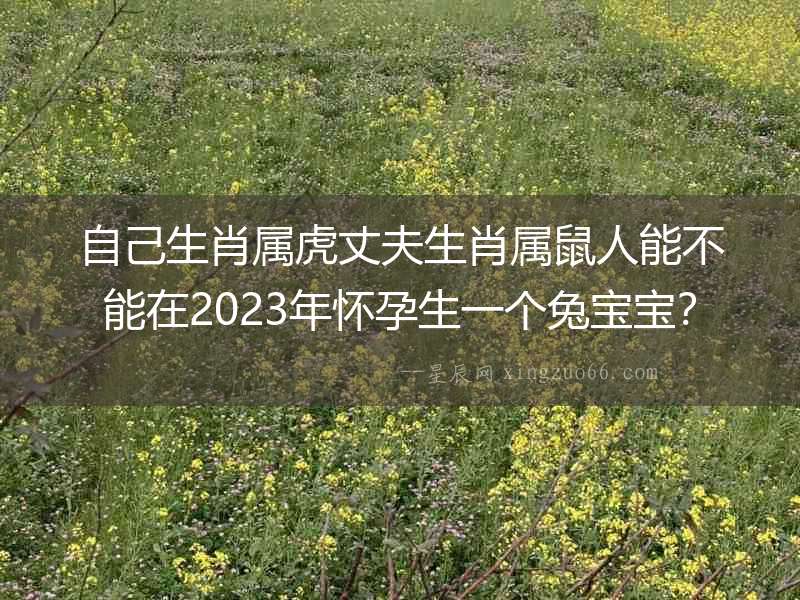 自己生肖屬虎丈夫生肖屬鼠人能不能在2023年懷孕生一個兔寶寶？