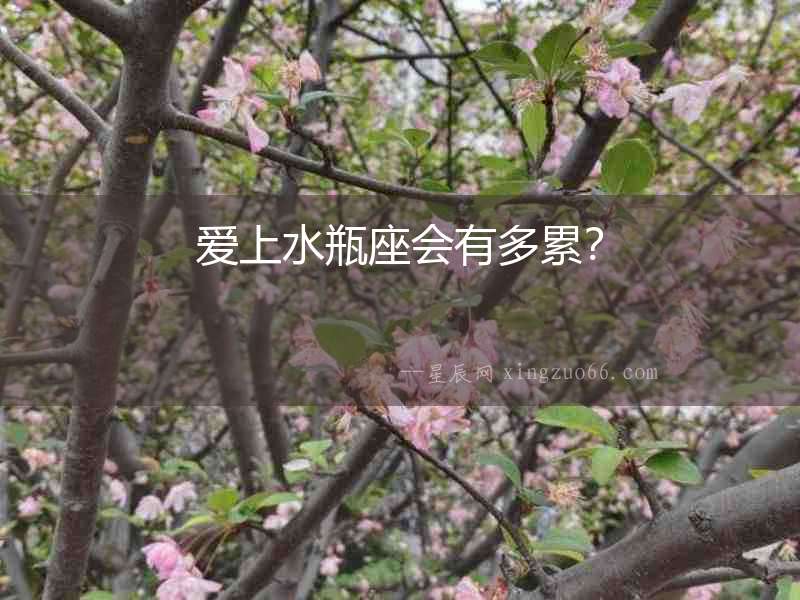 愛上水瓶座會(huì)有多累？