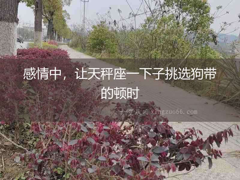 感情中，讓天秤座一下子挑選狗帶的頓時