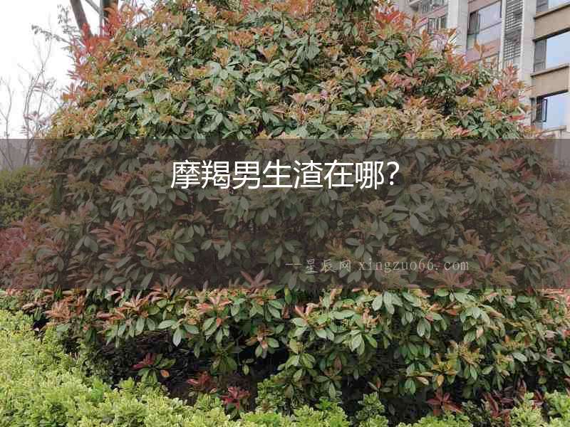 摩羯男生渣在哪？