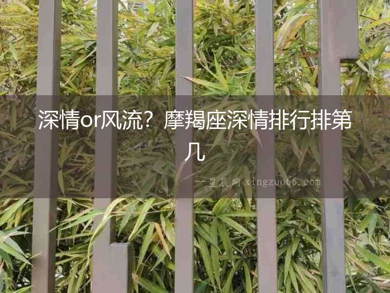 深情or風(fēng)流？摩羯座深情排行排第幾