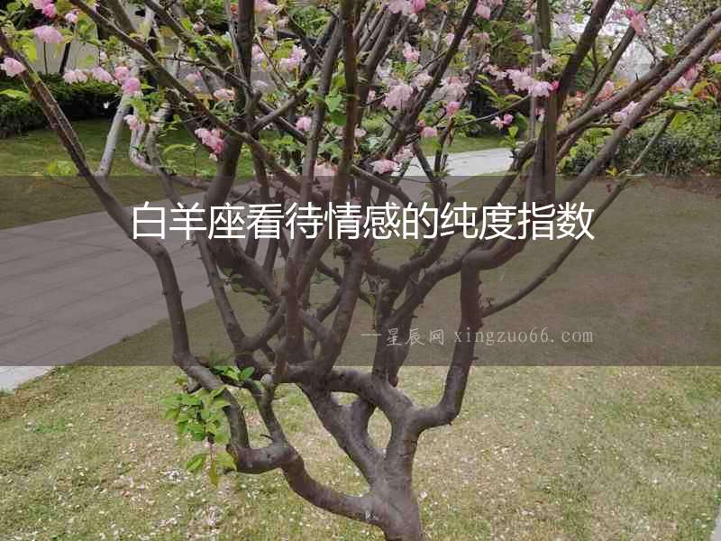 白羊座看待情感的純度指數(shù)