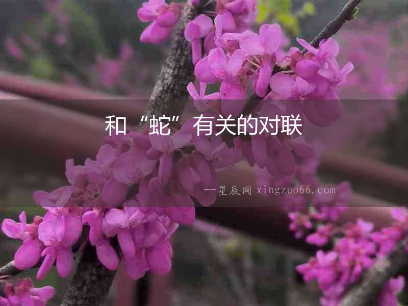 和“蛇”有關的對聯