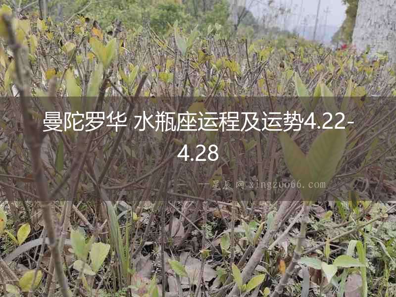 曼陀羅華 水瓶座運(yùn)程及運(yùn)勢(shì)4.22-4.28