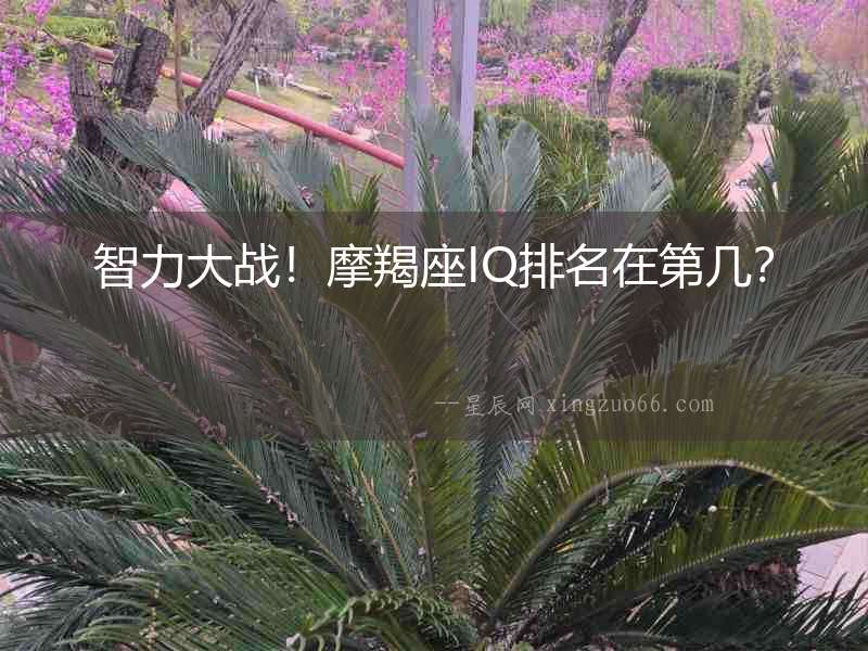 智力大戰！摩羯座IQ排名在第幾？