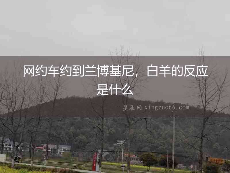 網約車約到蘭博基尼，白羊的反應是什么