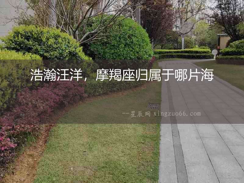 浩瀚汪洋，摩羯座歸屬于哪片海