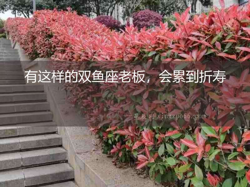 有這樣的雙魚(yú)座老板，會(huì)累到折壽
