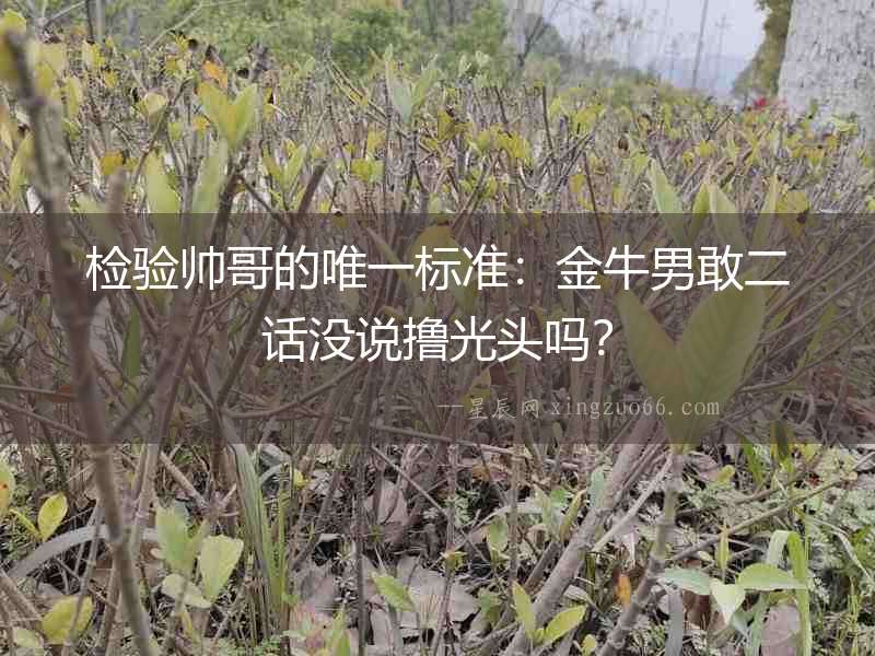 檢驗帥哥的唯一標(biāo)準(zhǔn)：金牛男敢二話沒說擼光頭嗎？