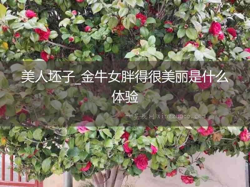 美人坯子_金牛女胖得很美麗是什么體驗(yàn)
