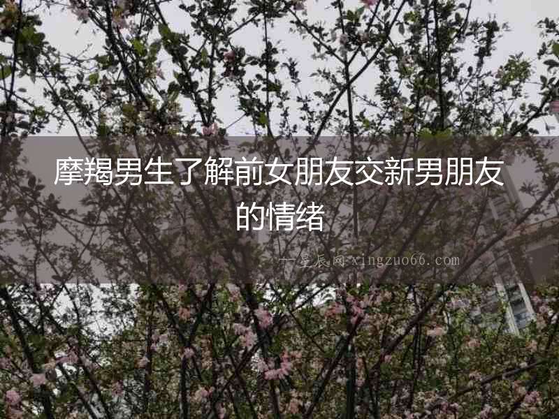 摩羯男生了解前女朋友交新男朋友的情緒