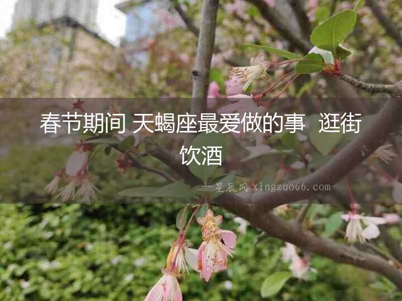 春節期間 天蝎座最愛做的事  逛街飲酒