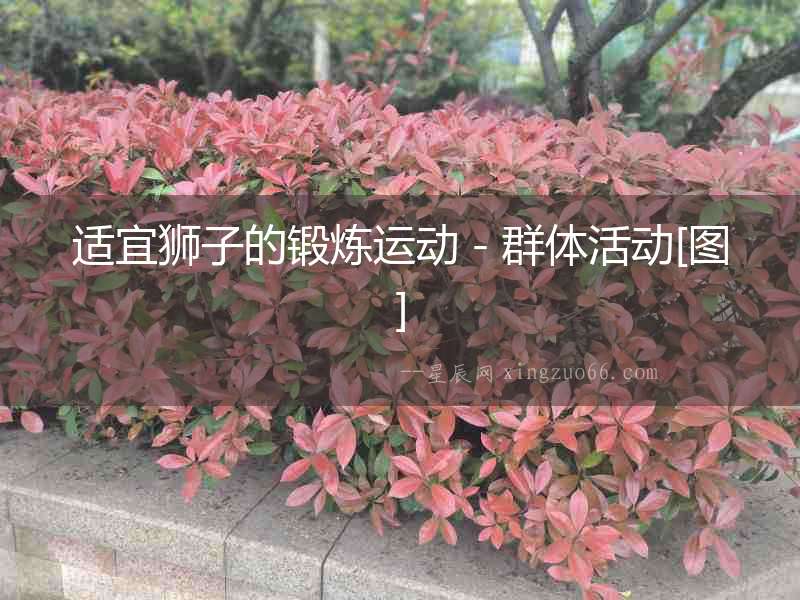 適宜獅子的鍛煉運動－群體活動[圖]