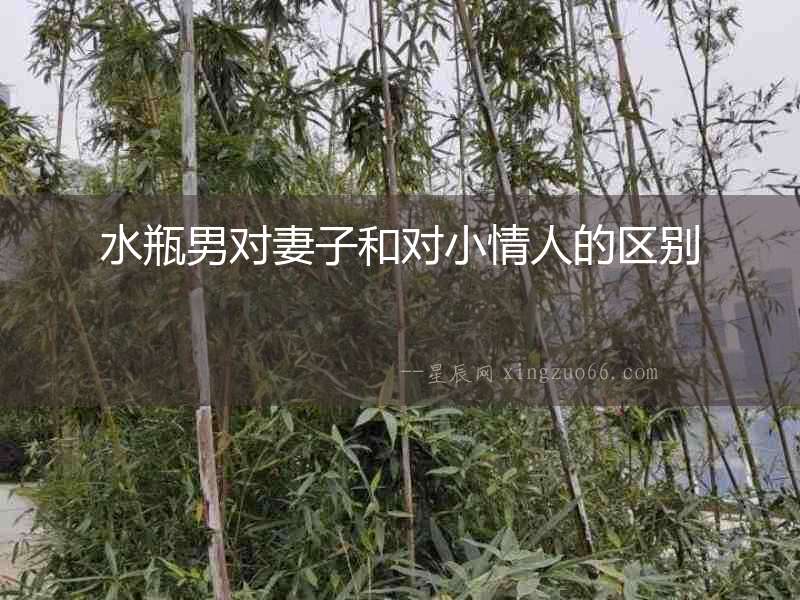 水瓶男對妻子和對小情人的區(qū)別