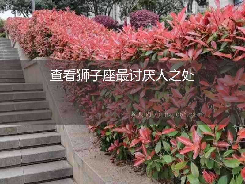 查看獅子座最討厭人之處