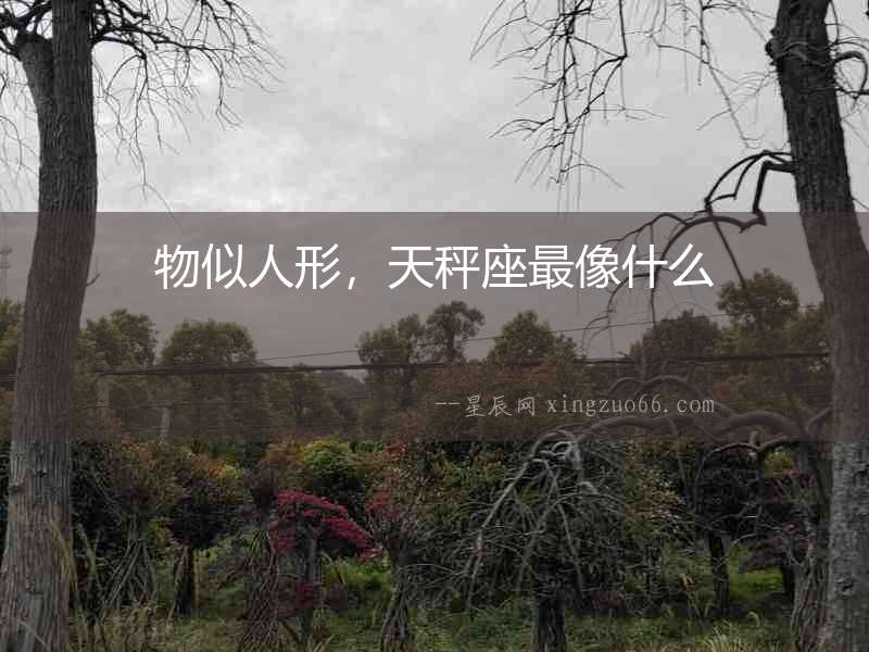 物似人形，天秤座最像什么