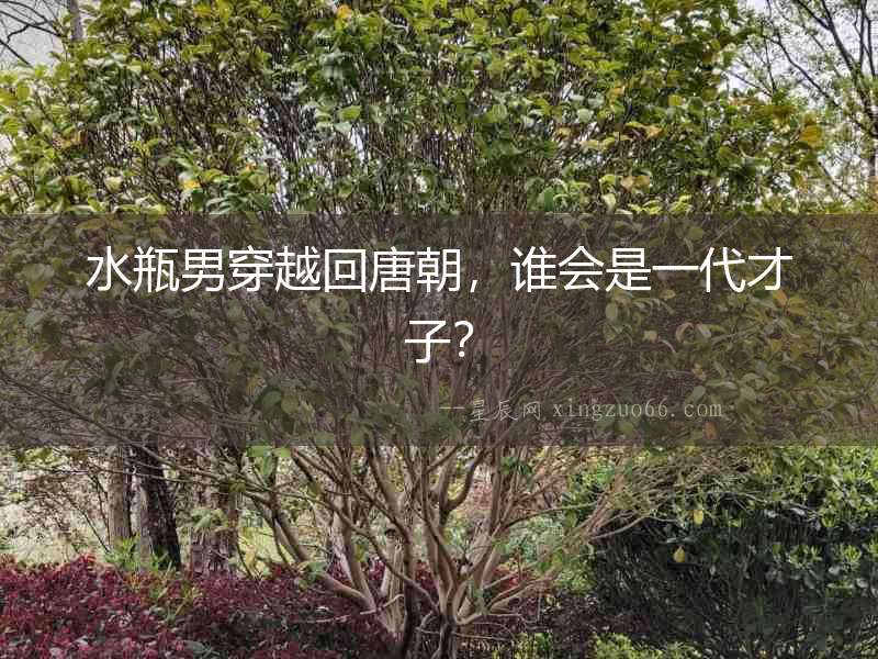 水瓶男穿越回唐朝，誰會是一代才子？