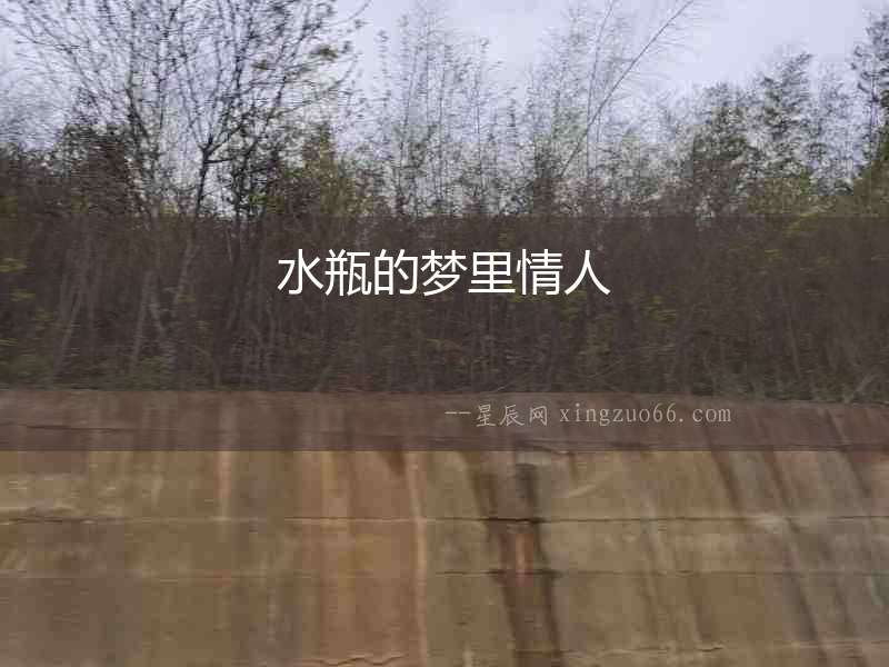 水瓶的夢里情人
