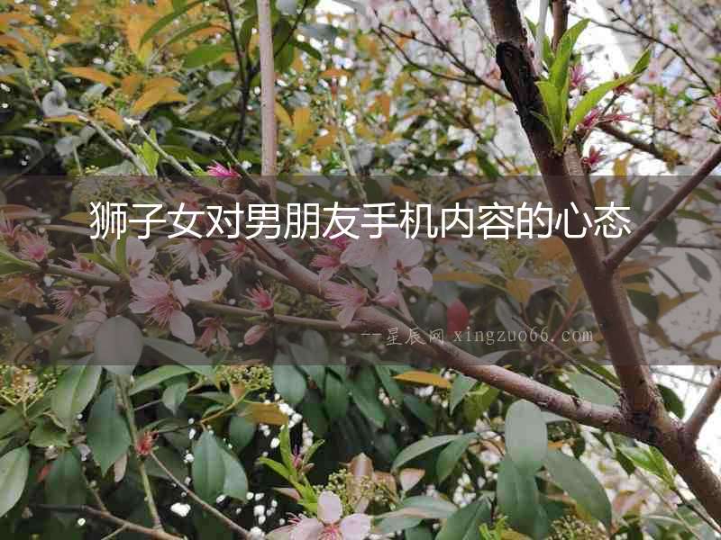 獅子女對男朋友手機(jī)內(nèi)容的心態(tài)