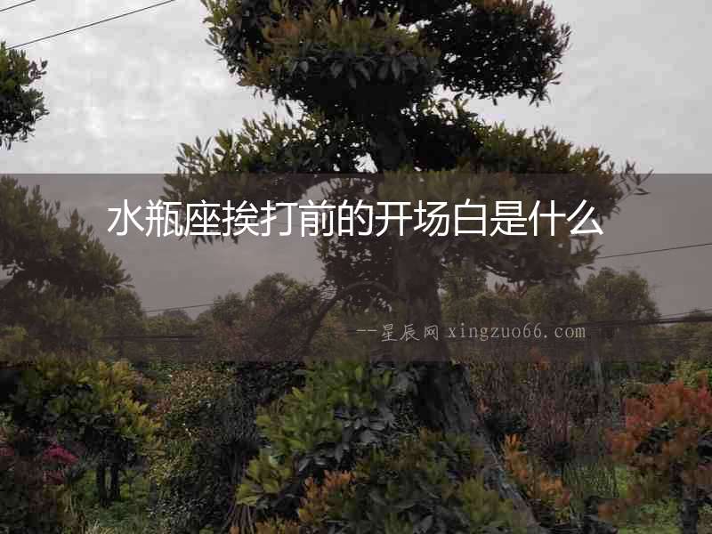 水瓶座挨打前的開場白是什么
