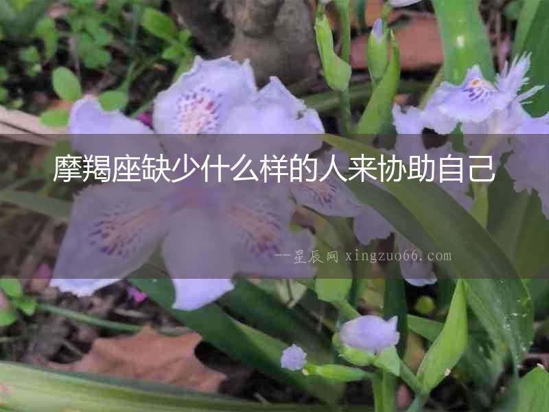 摩羯座缺少什么樣的人來協(xié)助自己