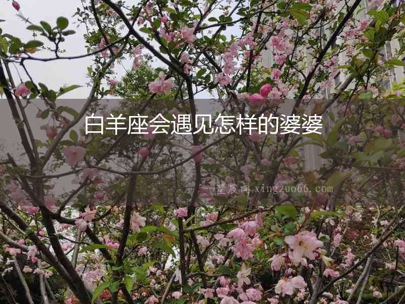 白羊座會(huì)遇見(jiàn)怎樣的婆婆
