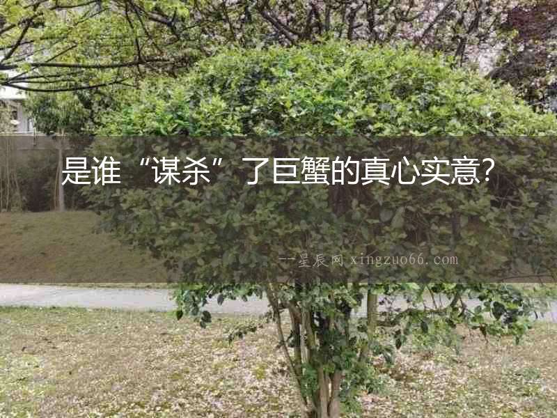 是誰“謀殺”了巨蟹的真心實意？