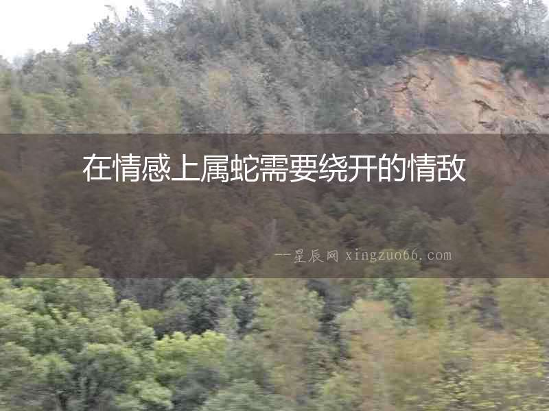 在情感上屬蛇需要繞開的情敵