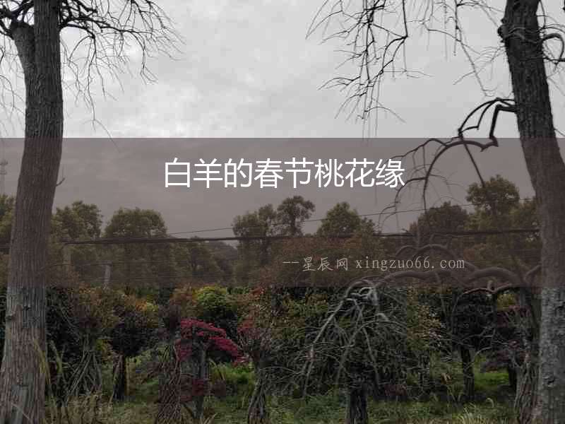白羊的春節桃花緣