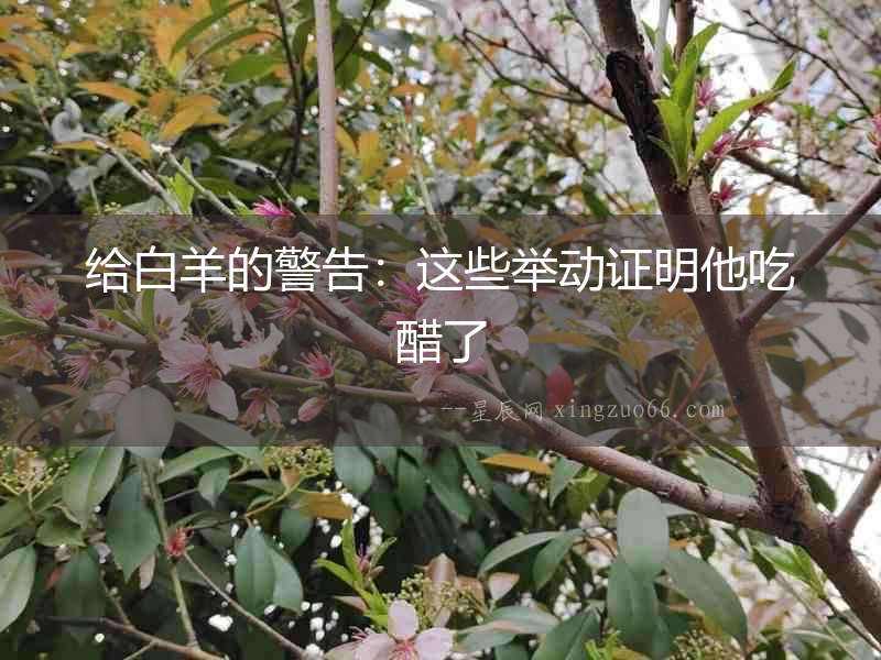 給白羊的警告：這些舉動證明他吃醋了
