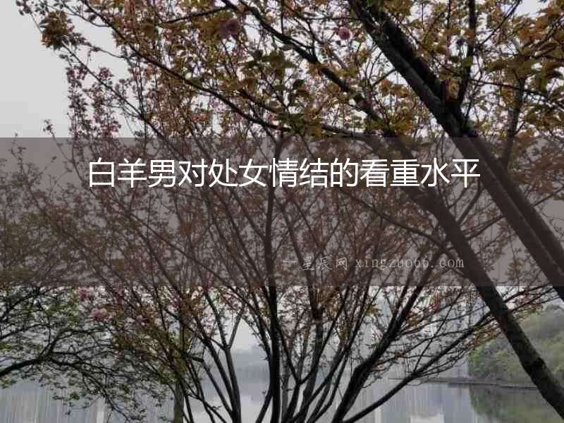 白羊男對處女情結(jié)的看重水平