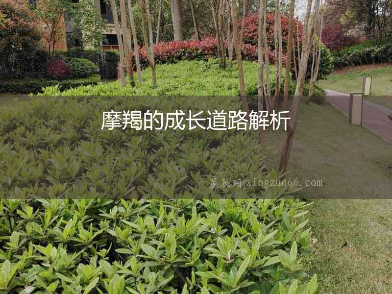 摩羯的成長道路解析
