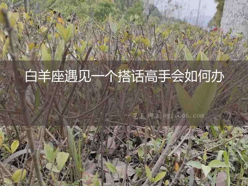 白羊座遇見一個搭話高手會如何辦