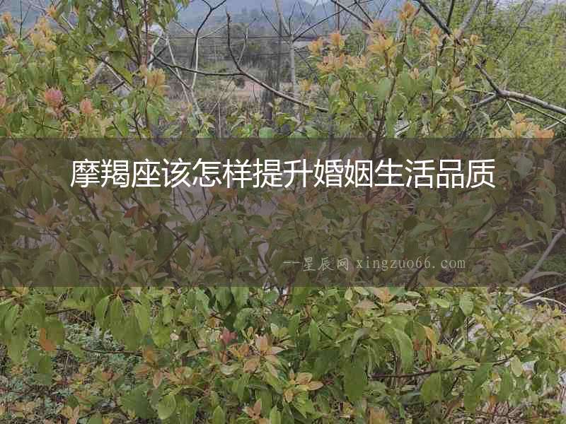 摩羯座該怎樣提升婚姻生活品質