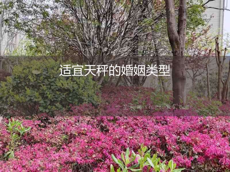 適宜天秤的婚姻類型