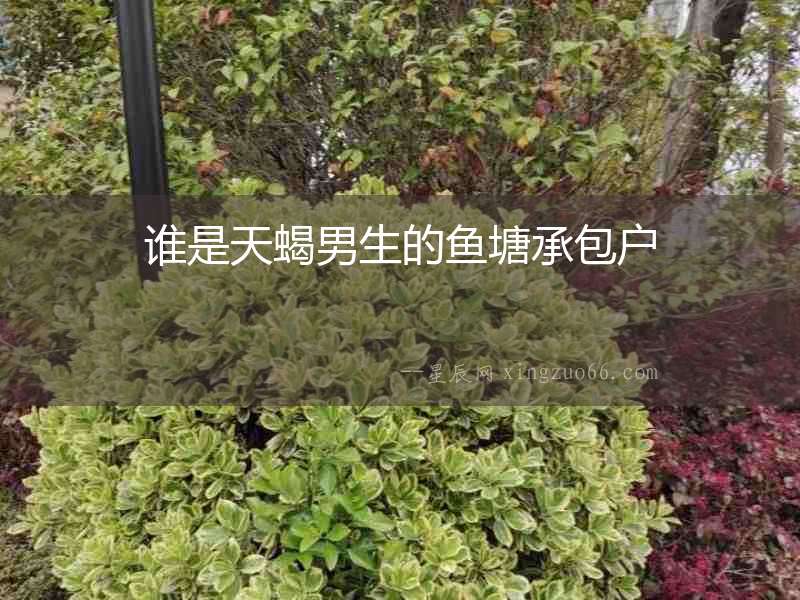 誰是天蝎男生的魚塘承包戶