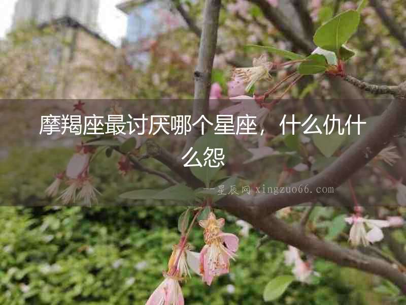 摩羯座最討厭哪個星座，什么仇什么怨