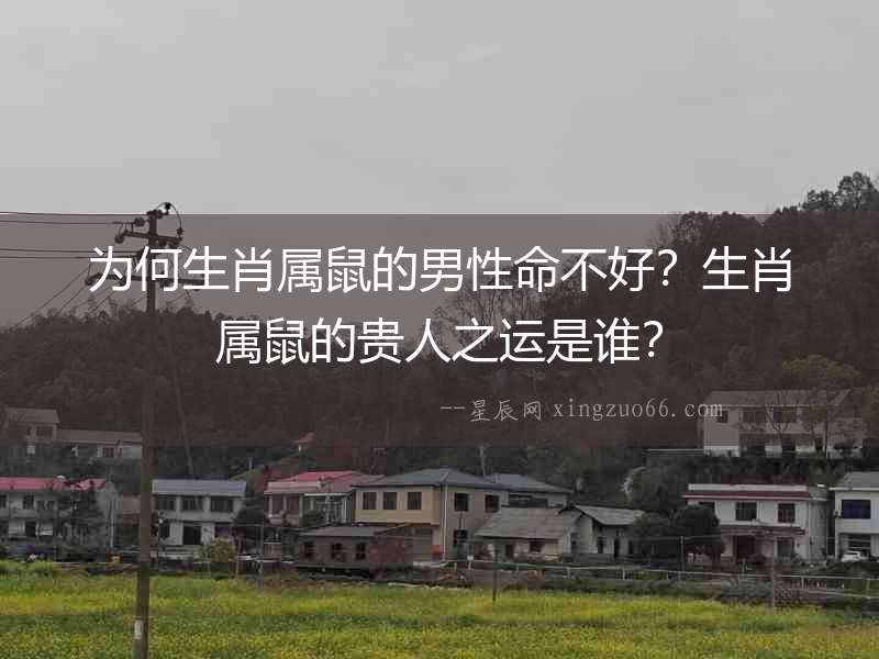 為何生肖屬鼠的男性命不好？生肖屬鼠的貴人之運是誰？