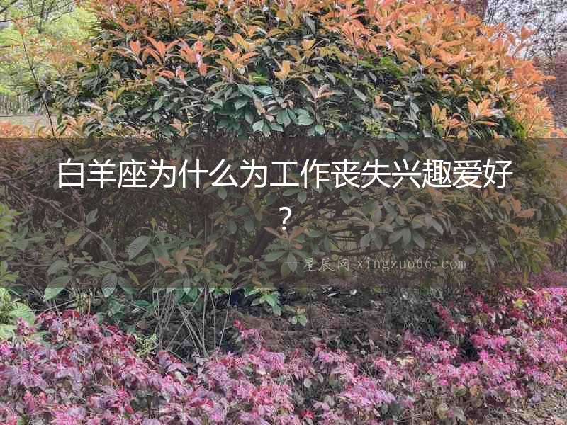 白羊座為什么為工作喪失興趣愛好？