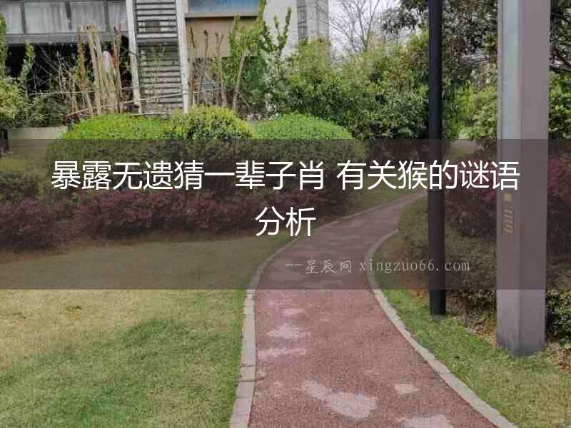 暴露無(wú)遺猜一輩子肖 有關(guān)猴的謎語(yǔ)分析