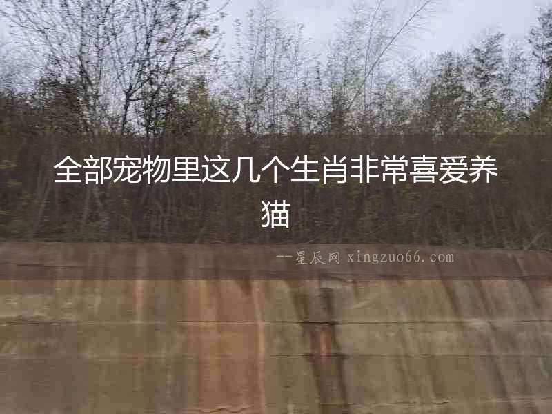 全部寵物里這幾個生肖非常喜愛養貓