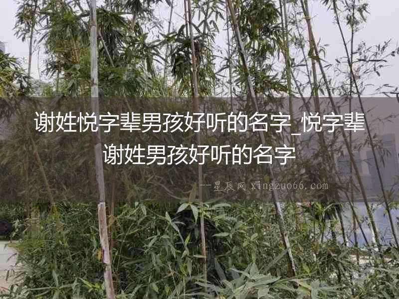 謝姓悅字輩男孩好聽的名字_悅字輩謝姓男孩好聽的名字